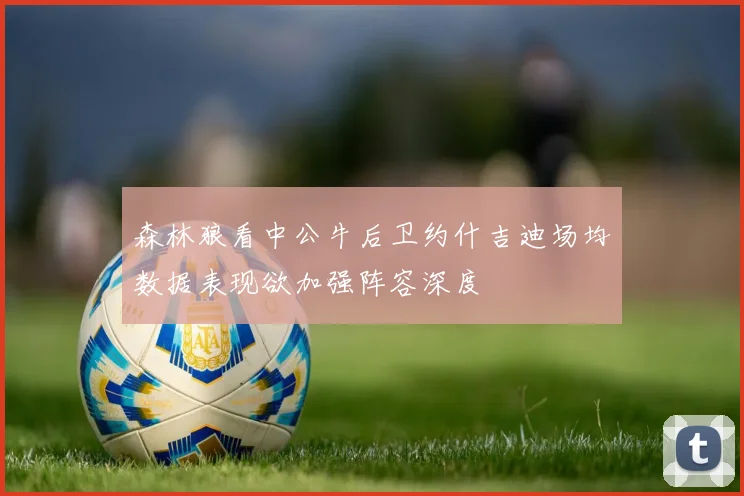 森林狼看中公牛后卫约什吉迪场均数据表现欲加强阵容深度