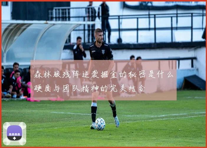 森林狼残阵逆袭掘金的秘密是什么硬度与团队精神的完美结合